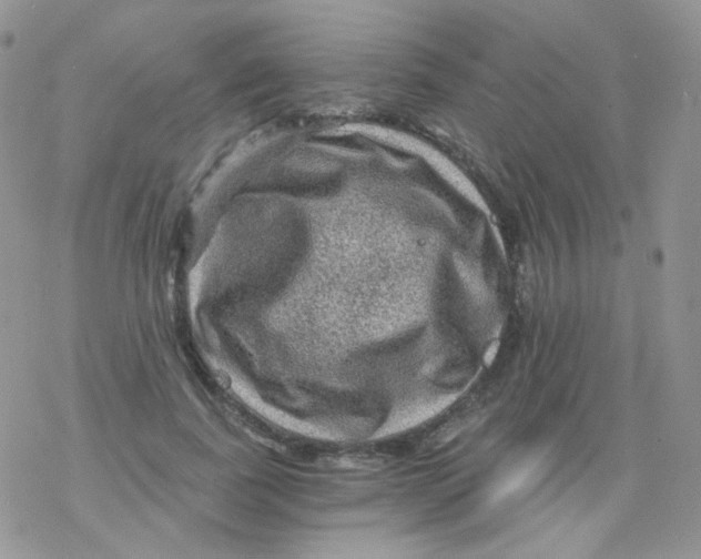 X0000078300739200611251508