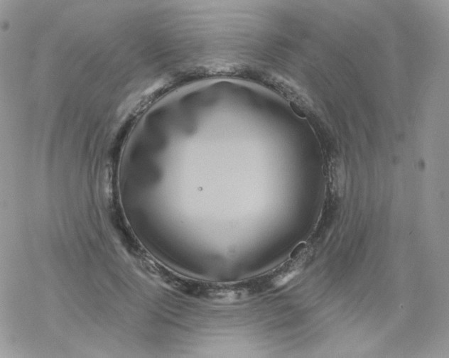 X0000078300740200611251508