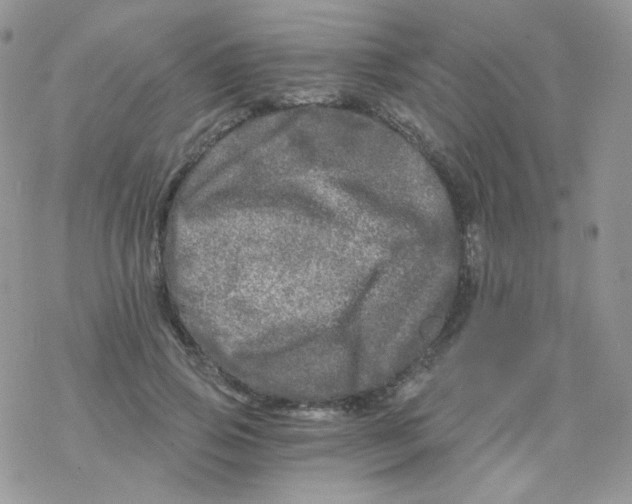 X0000078300741200611251508