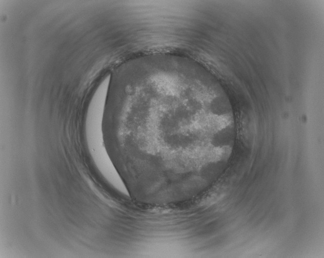 X0000078300742200611251508