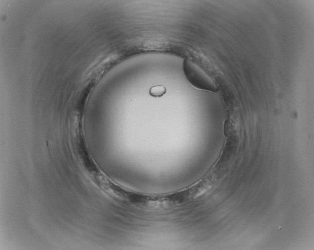 X0000078300744200611251508