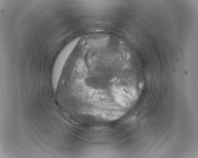 X0000078300745200611251508