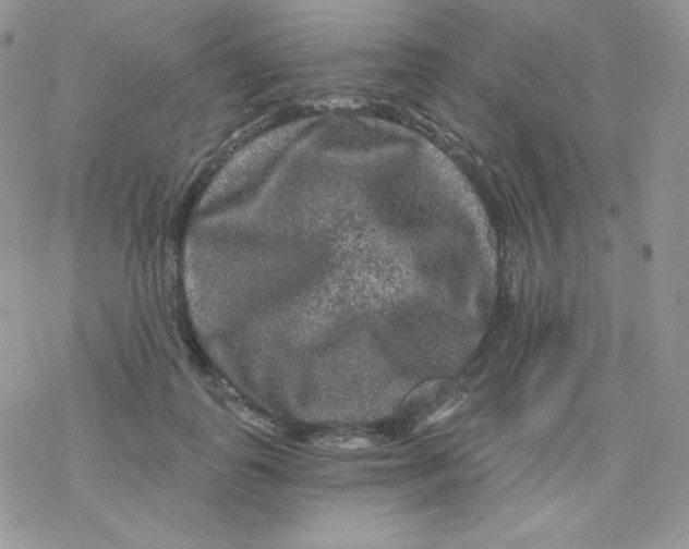 X0000078300747200611251508