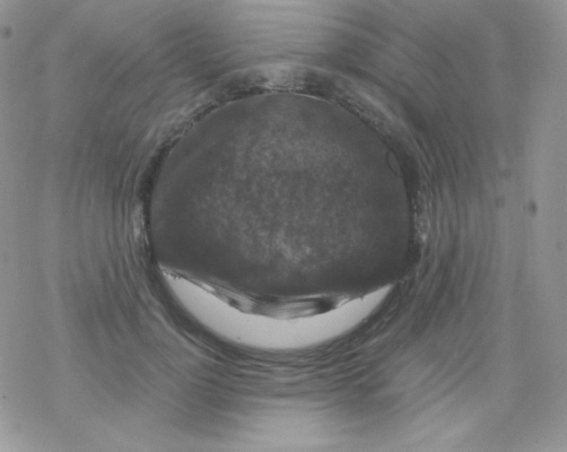 X0000078300748200611251508