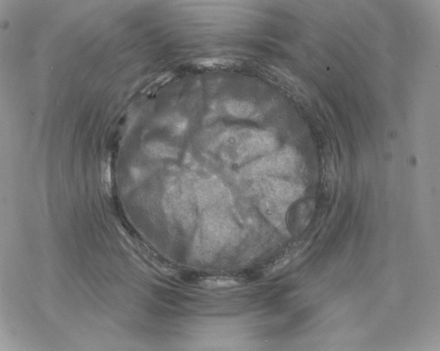 X0000078300749200611251508