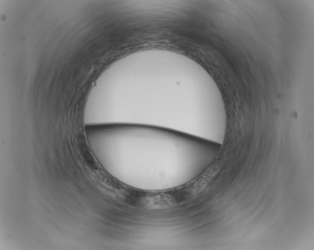 X0000078300752200611251508