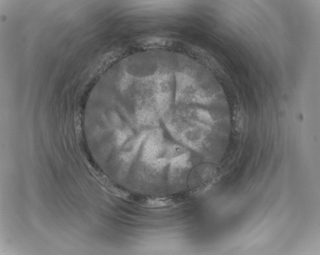 X0000078300753200611251508