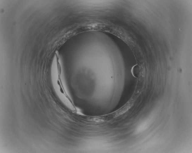 X0000078300754200611251508