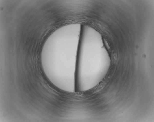 X0000078300756200611251508