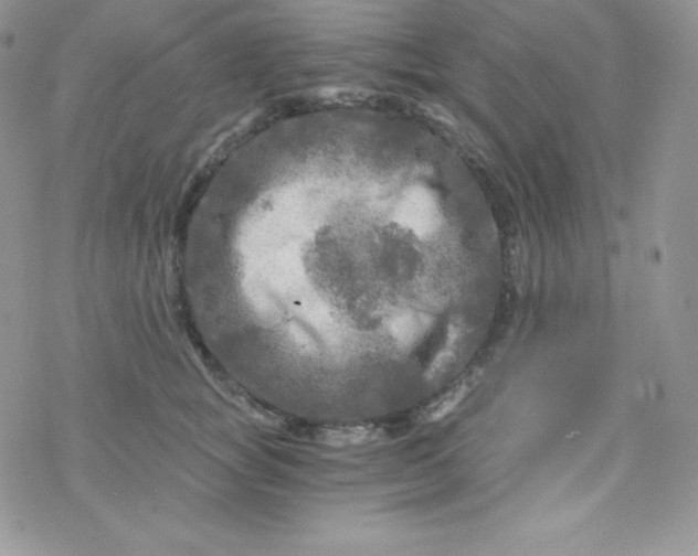 X0000078300757200611251508