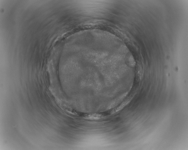 X0000078300758200611251508