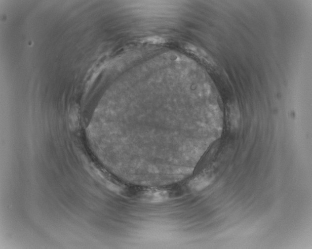 X0000078300760200611251508