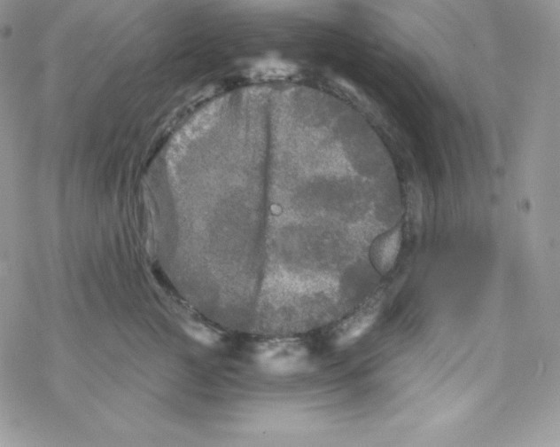 X0000078300761200611251508