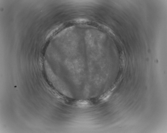 X0000078300762200611251508