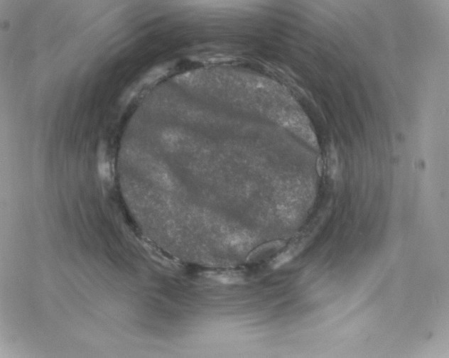 X0000078300763200611251508