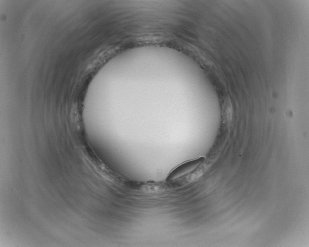 X0000078300764200611251508