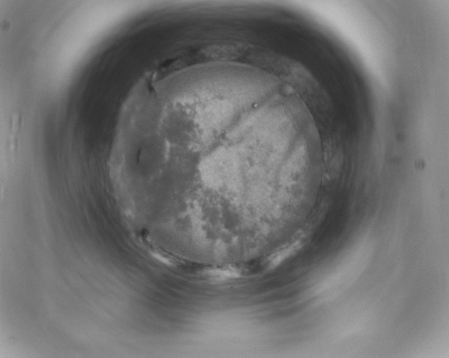 X0000078300765200611251508