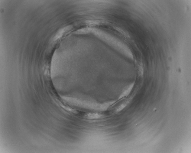 X0000078300766200611251508