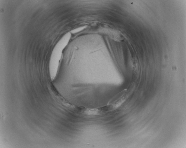 X0000078300767200611251508