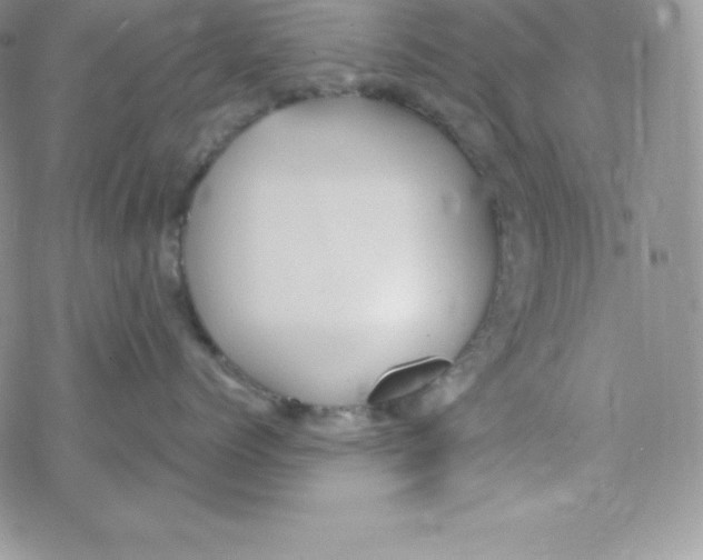 X0000078300768200611251508