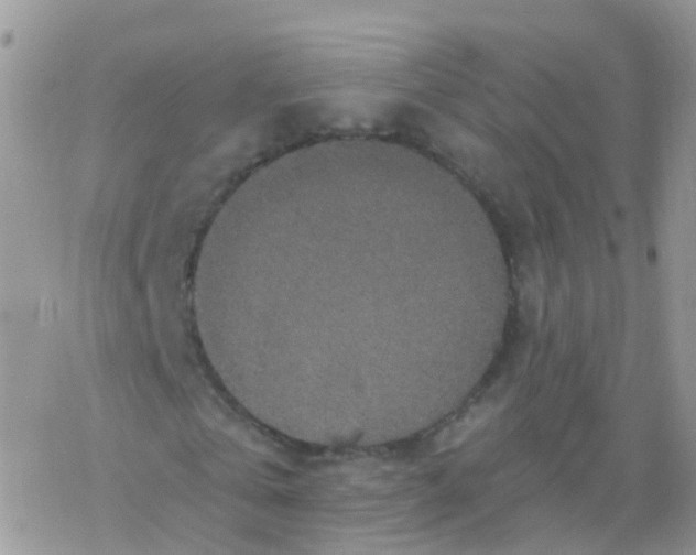 X0000078300769200611251508