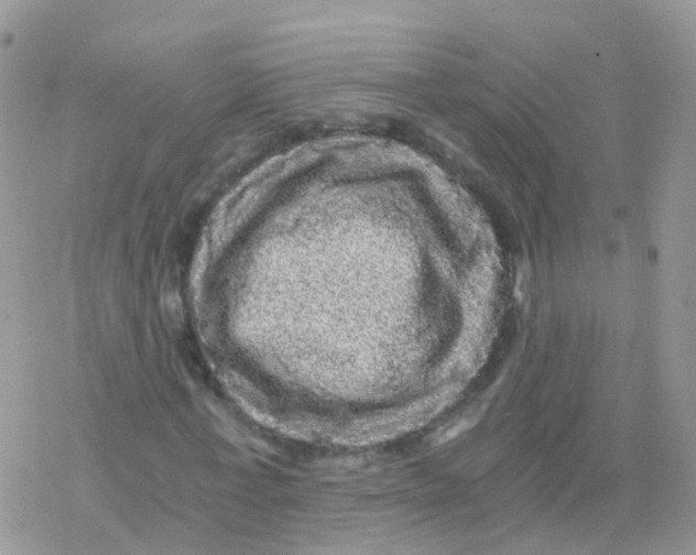 X0000078300771200611251507