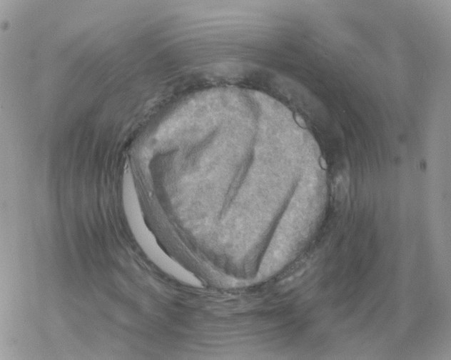 X0000078300772200611251507