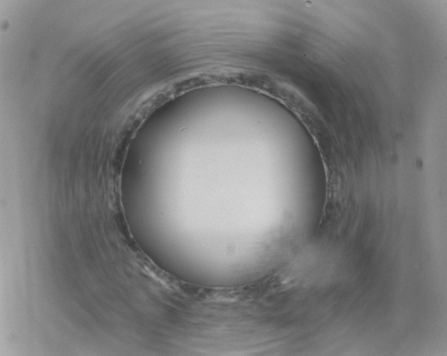 X0000078300773200611251507