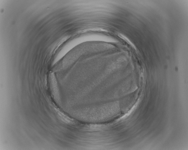 X0000078300777200611251507