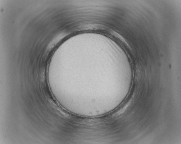 X0000078300778200611251507