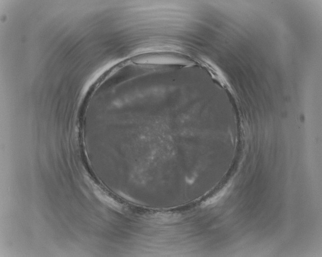 X0000078300779200611251507