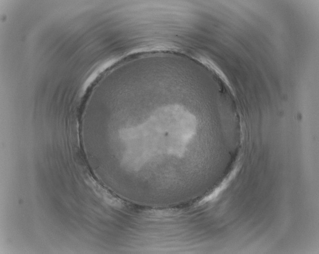 X0000078300781200611251507