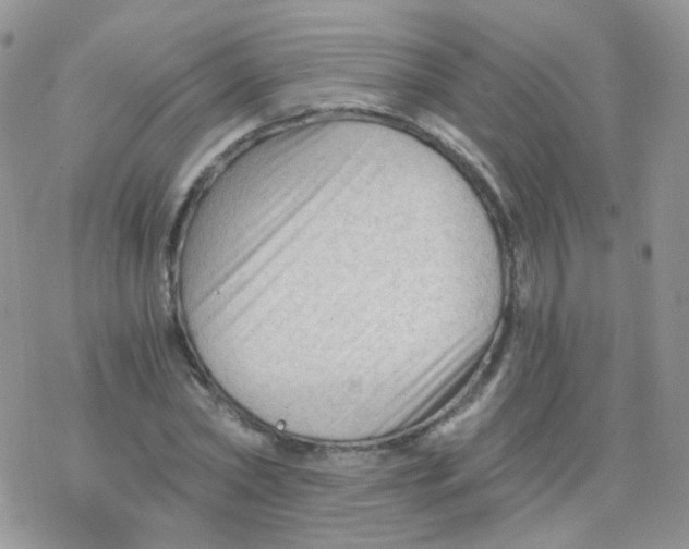 X0000078300782200611251507