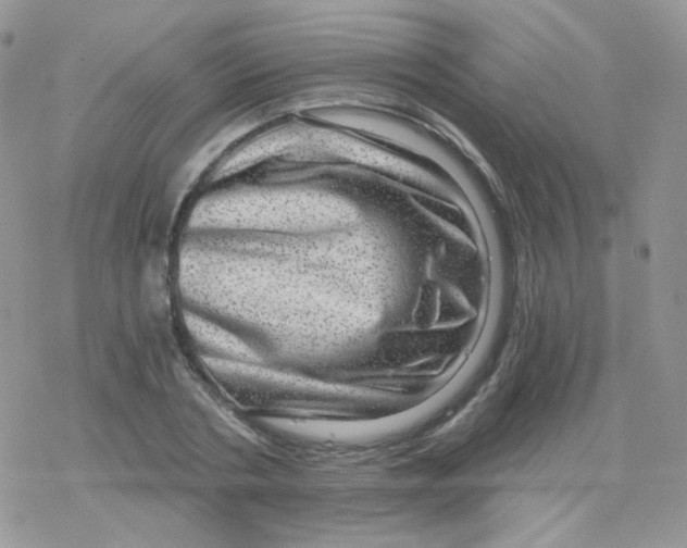 X0000078300786200611251507