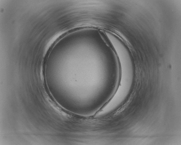 X0000078300788200611251507