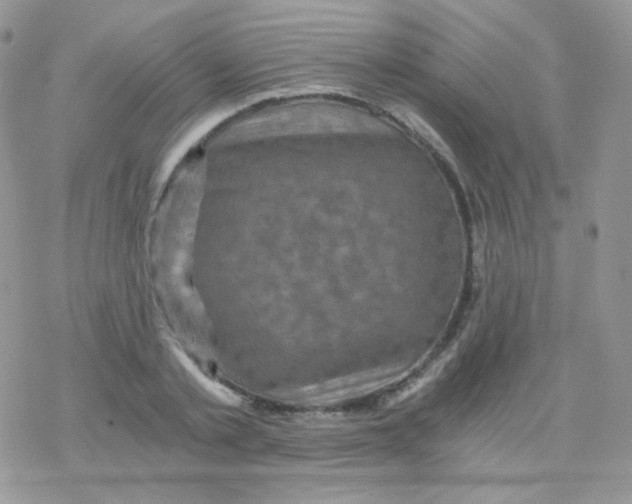 X0000078300789200611251507