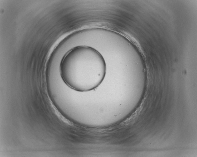 X0000078300792200611251507