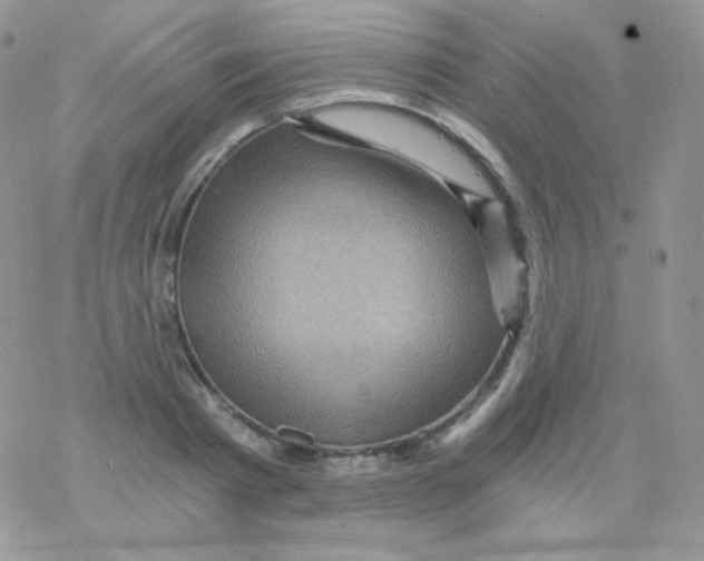 X0000078300793200611251507