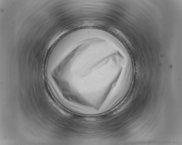 X0000078300794200611251507