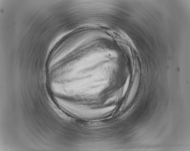 X0000078300795200611251507