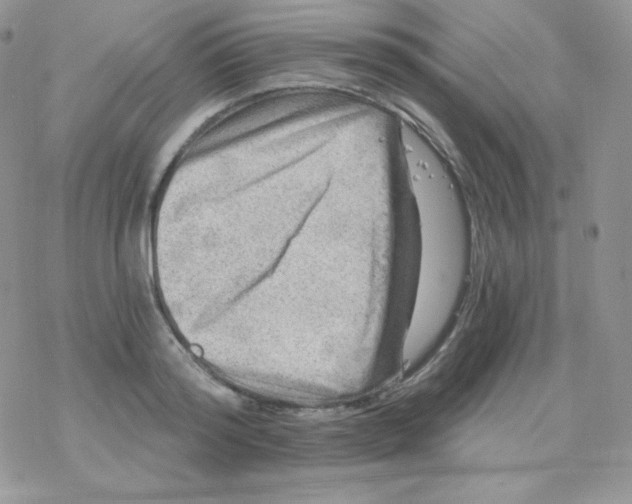 X0000078300796200611251507