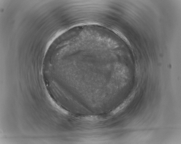 X0000078300797200611251507