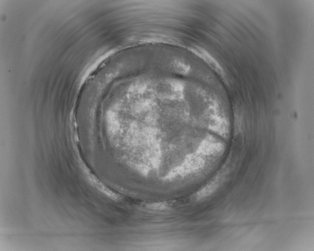 X0000078300798200611251507