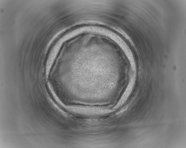 X0000078300799200611251507