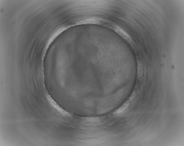 X0000078300800200611251507