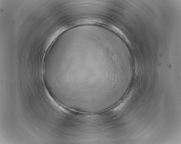 X0000078300802200611251507