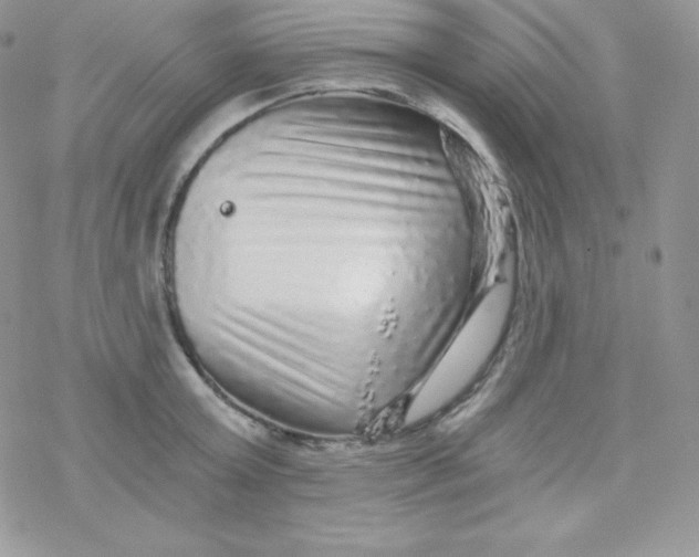 X0000078300803200611251507