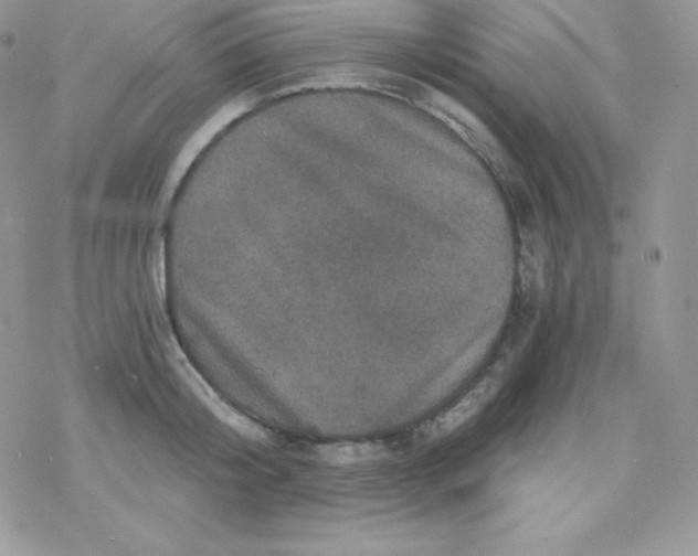 X0000078300804200611251507