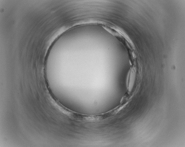 X0000078300805200611251507