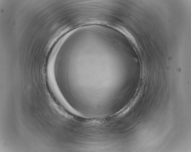 X0000078300806200611251507